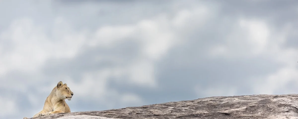 9-Day Tanzania Luxury Safari