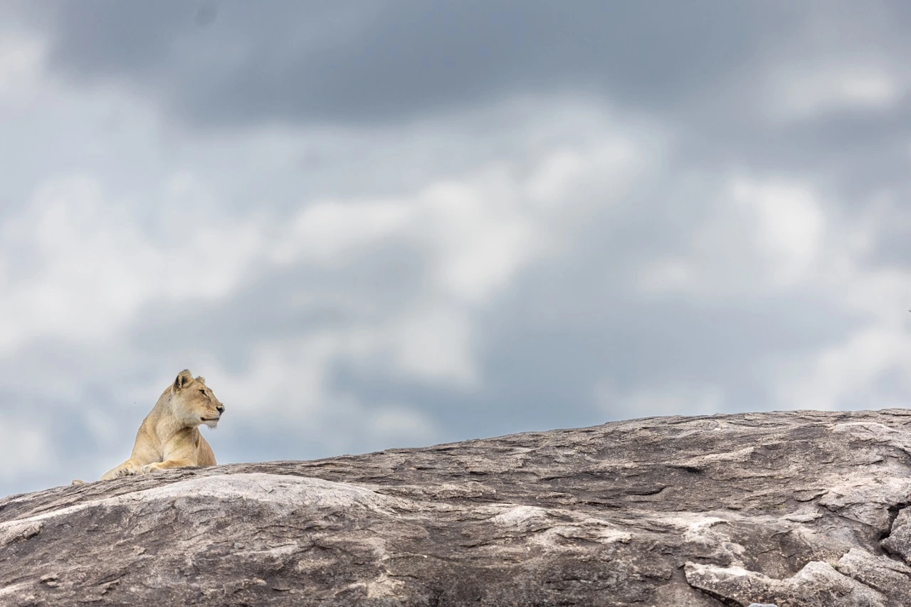 Kidepo Valley National Park