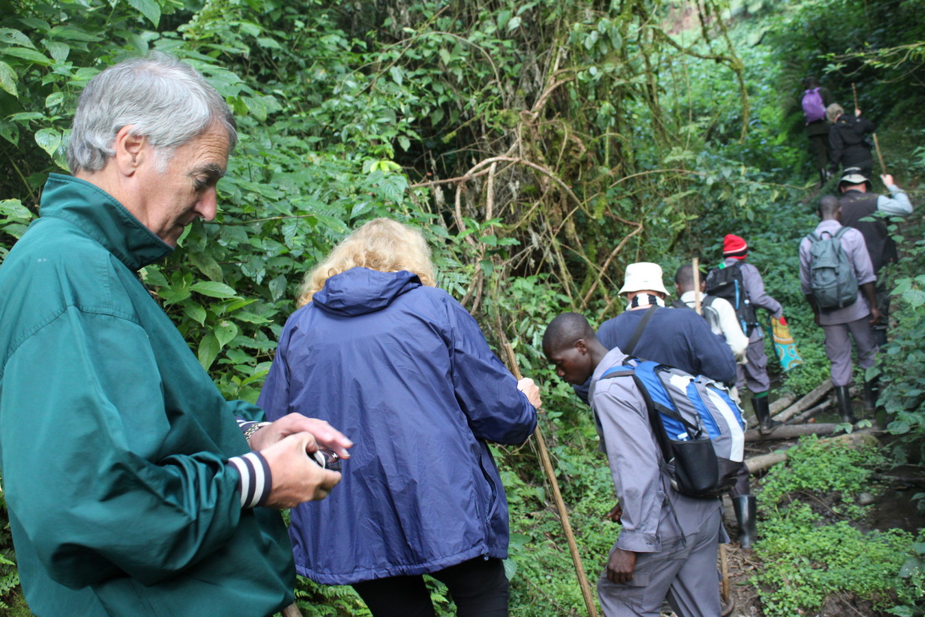 What to Wear for Gorilla Trekking?