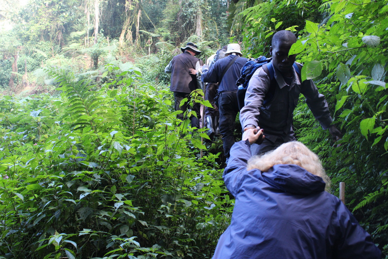 book gorilla trekking permits