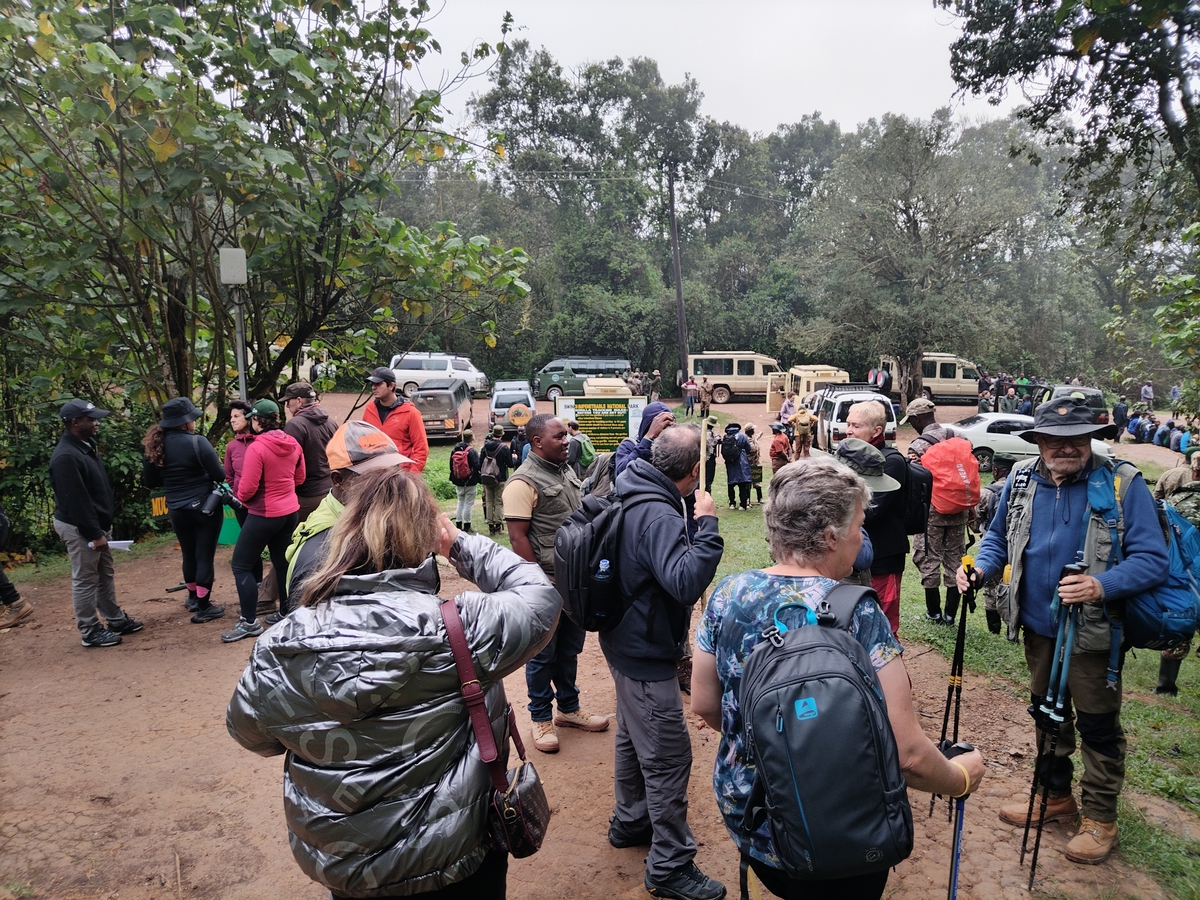 Rwanda vs Uganda trekking