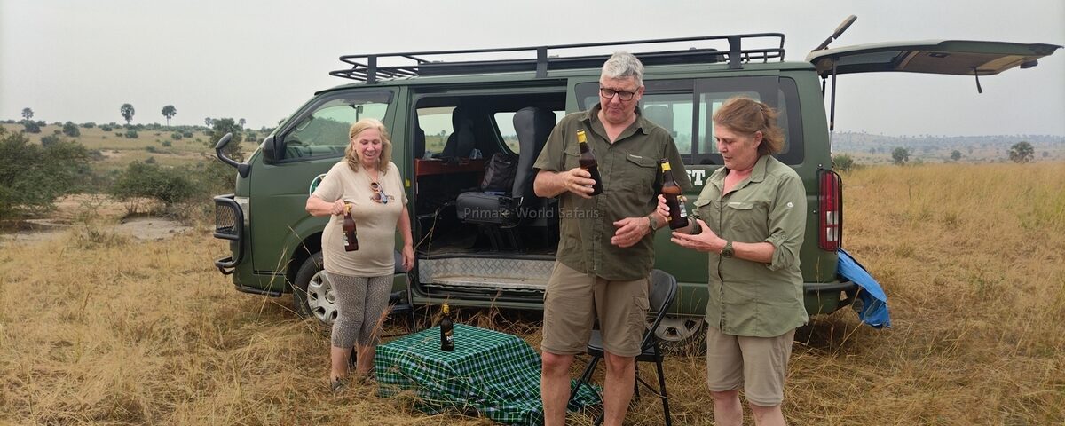 African Wild Adventures