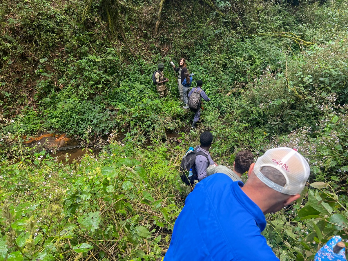 2026 Gorilla Trekking