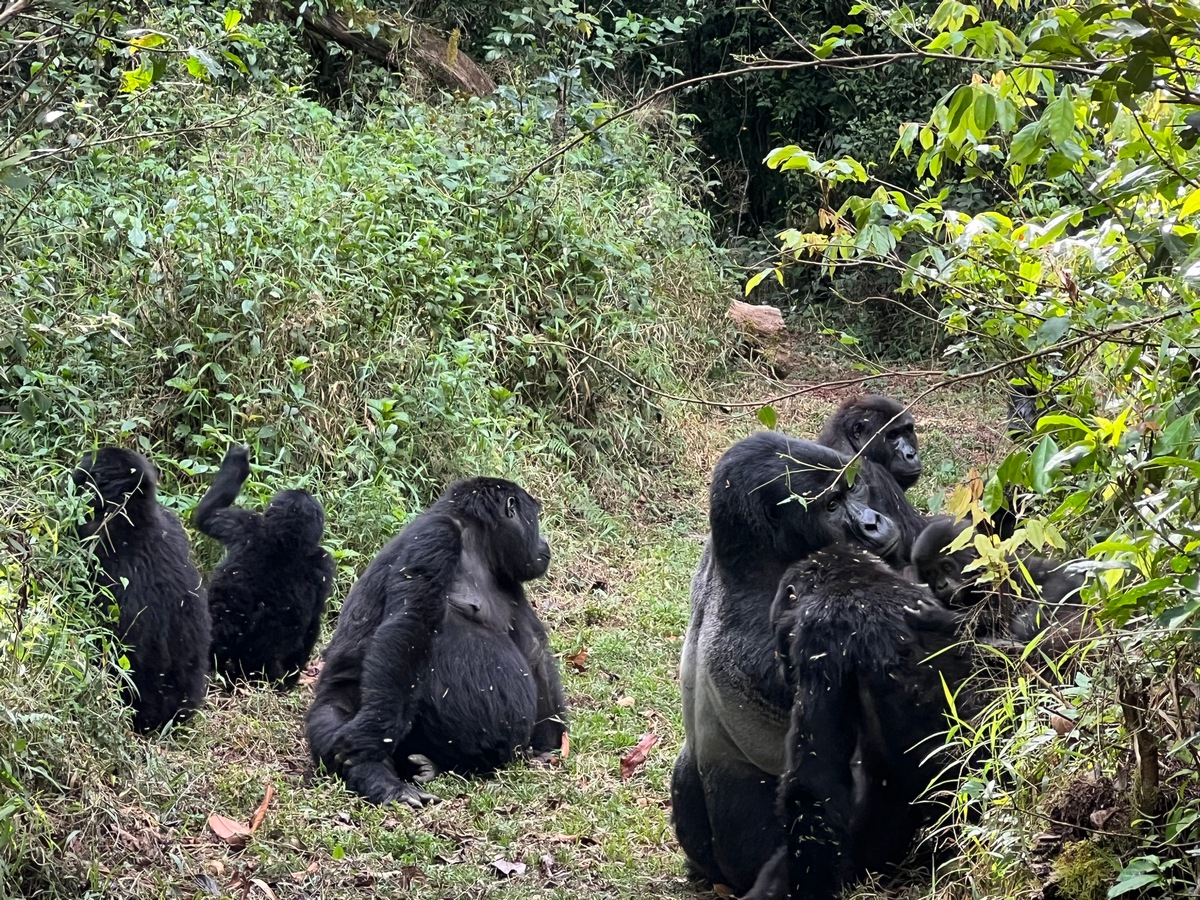 Africa Tour Holidays