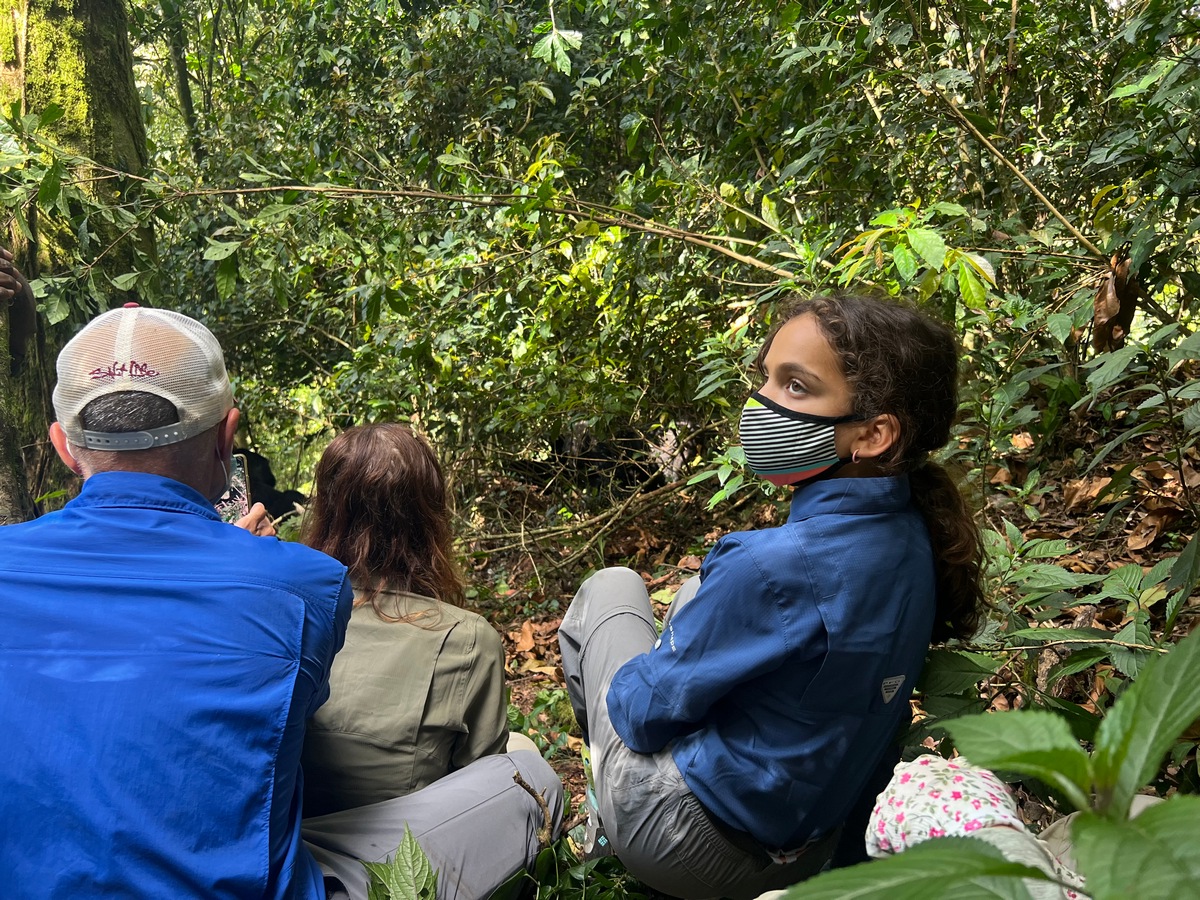 is gorilla trekking safe