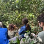 How Fit Do You Need to Be for Uganda Gorilla Trekking?