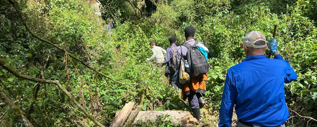 How Many People Can Go for a Gorilla Trek?