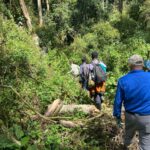 How Many People Can Go for a Gorilla Trek?
