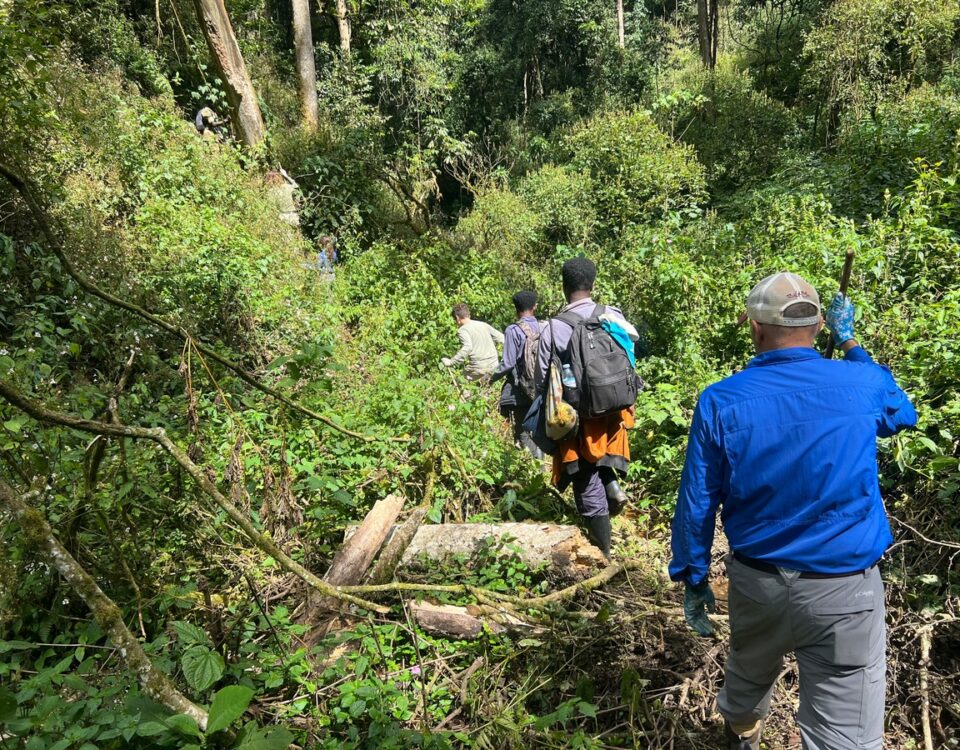 How Many People Can Go for a Gorilla Trek?
