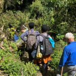 How Long Does Gorilla Trekking Take?