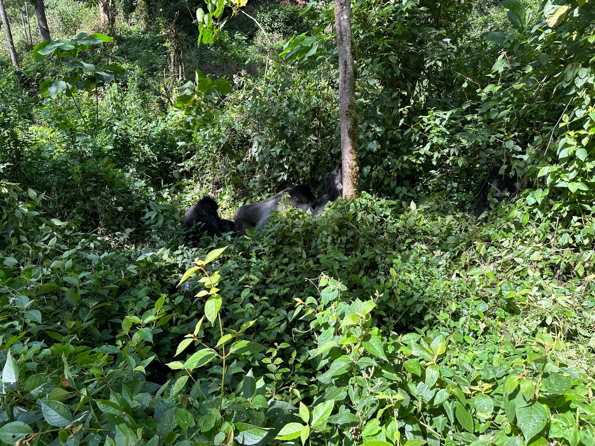 The Healing Savannah of Uganda