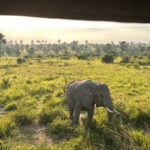 Queen Elizabeth National Park