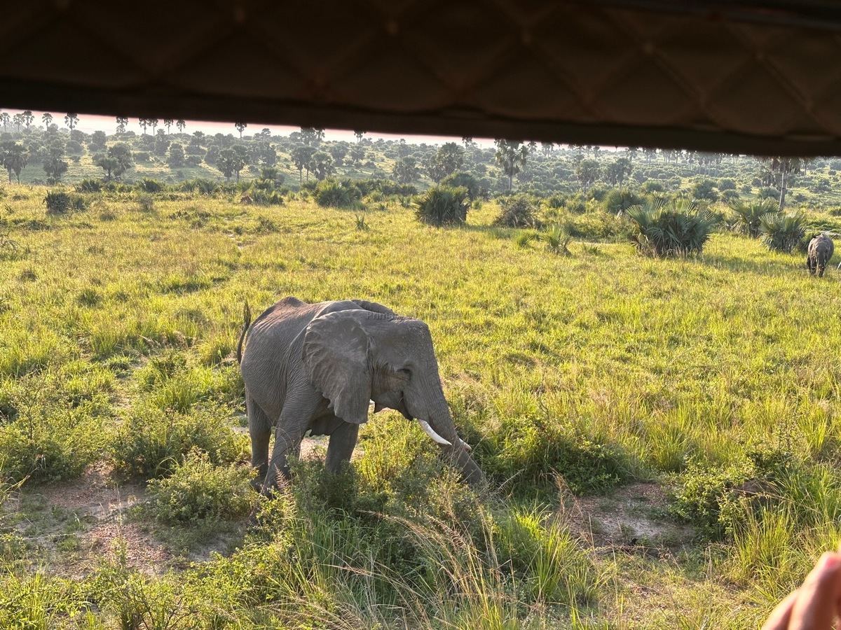 Community-Led Tourism in East Africa