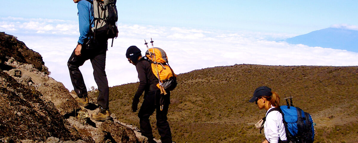 Africa Experiential Safaris