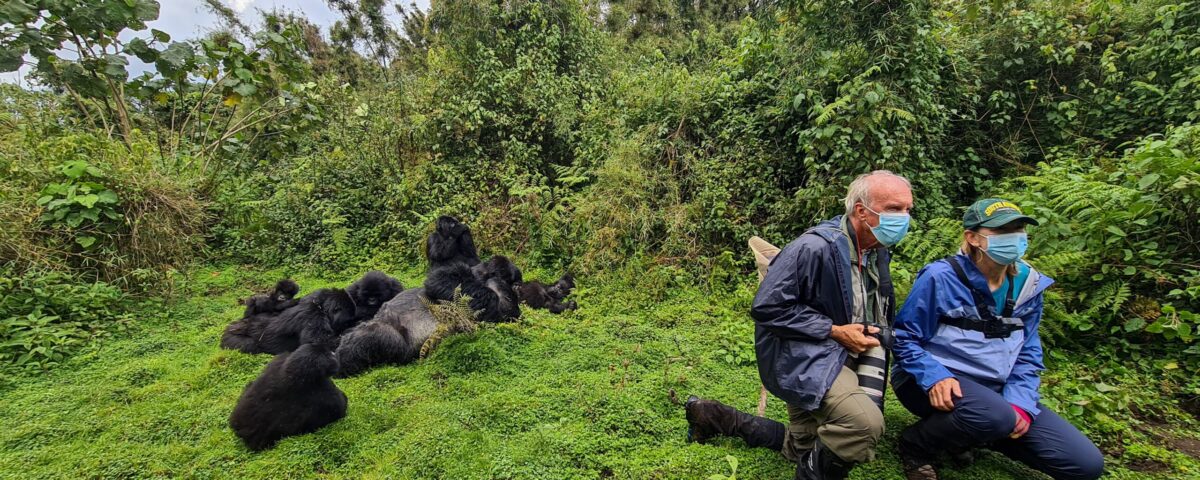 Why Do People Wear Masks When Gorilla Trekking?