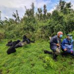 Why Do People Wear Masks When Gorilla Trekking?