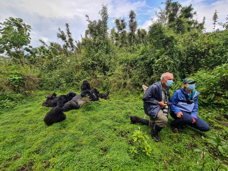 Rwanda Gorilla Safaris