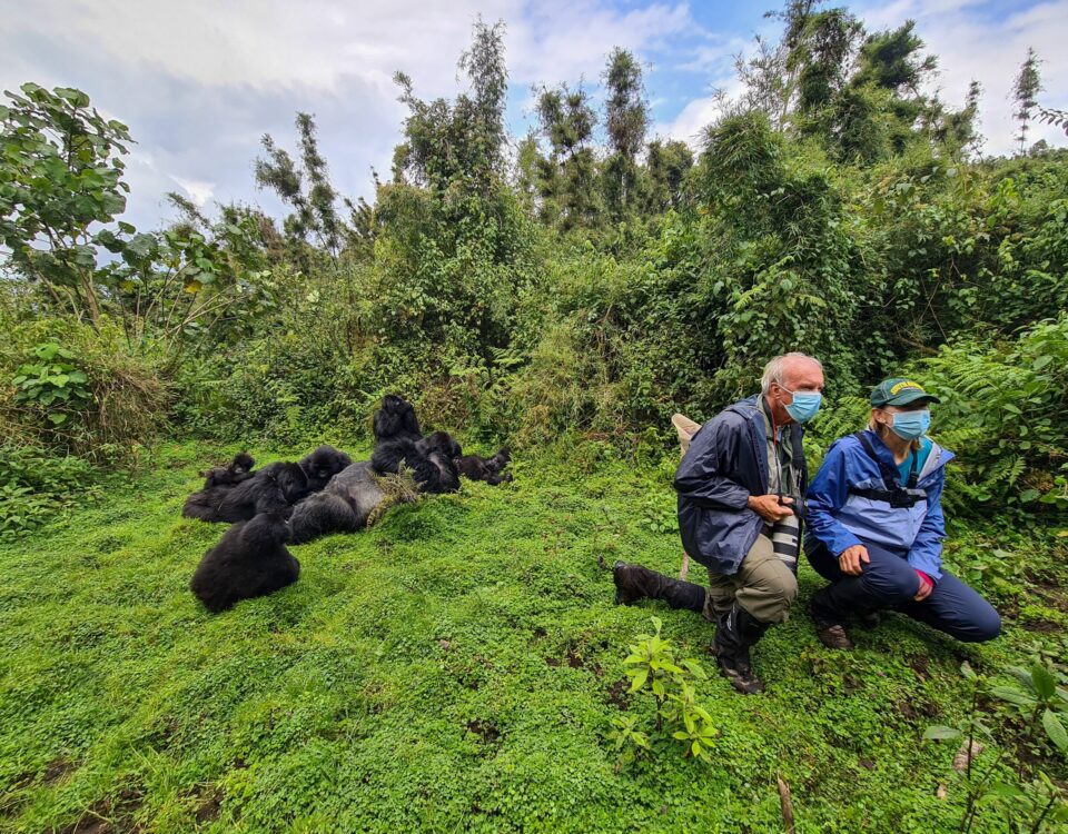 Why Do People Wear Masks When Gorilla Trekking?