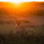 Queen Elizabeth National Park