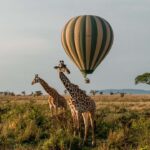 What to Expect in the Serengeti