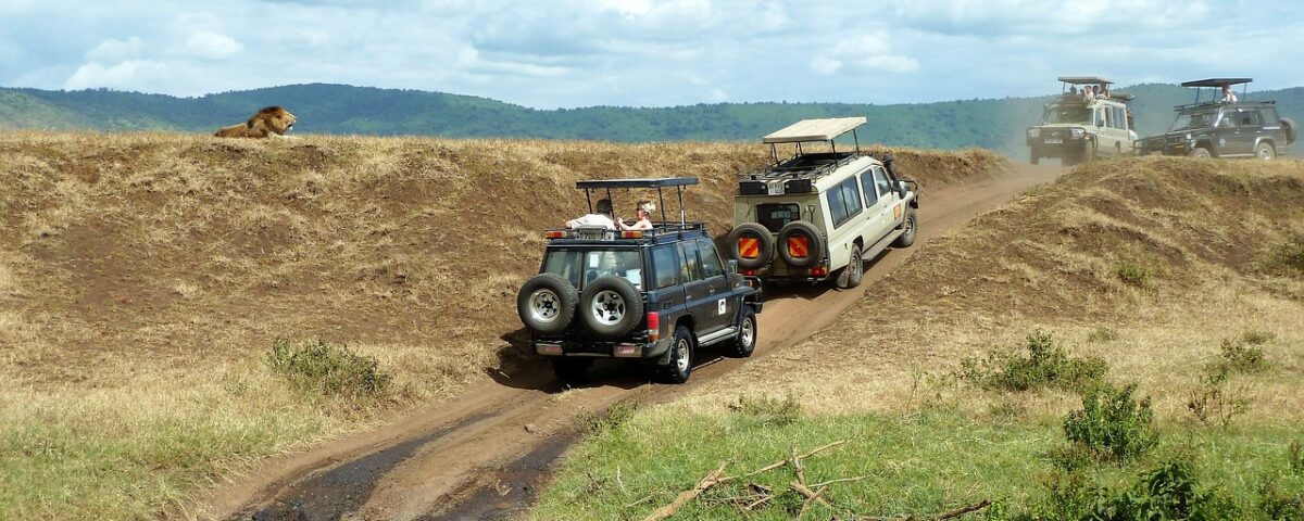 4-Day Kenya Wildlife Safari