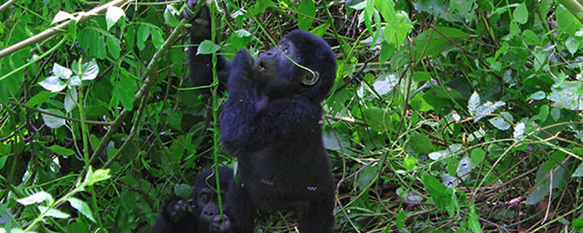 Community-Led Tourism in East Africa