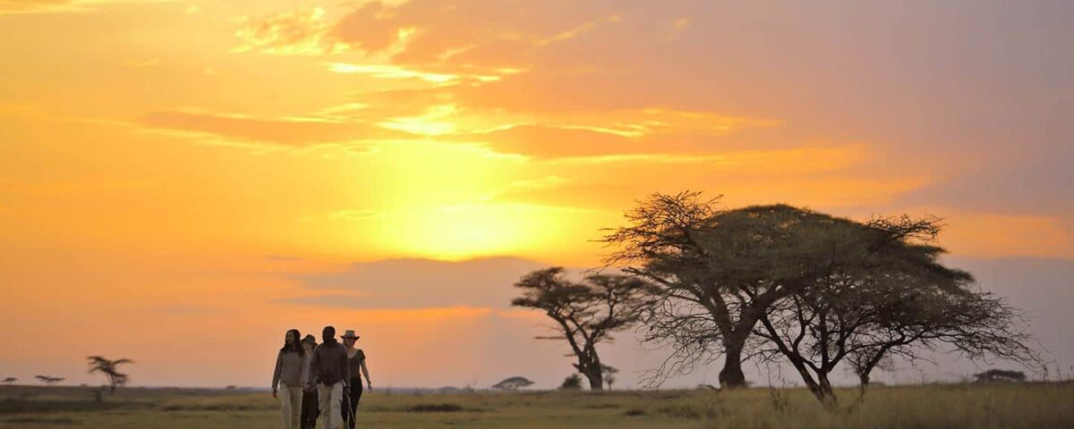 8-Day Luxury Kenya Safari