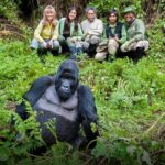 accessible gorilla trekking