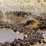 Top Travel and Holiday Destinations in East Africa