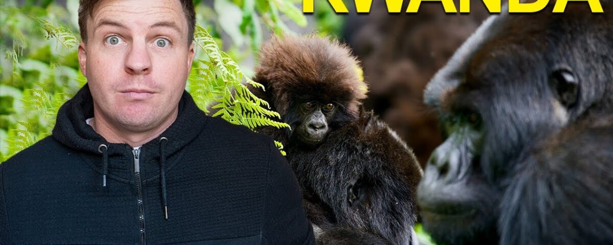 Gorilla Trekking Destinations