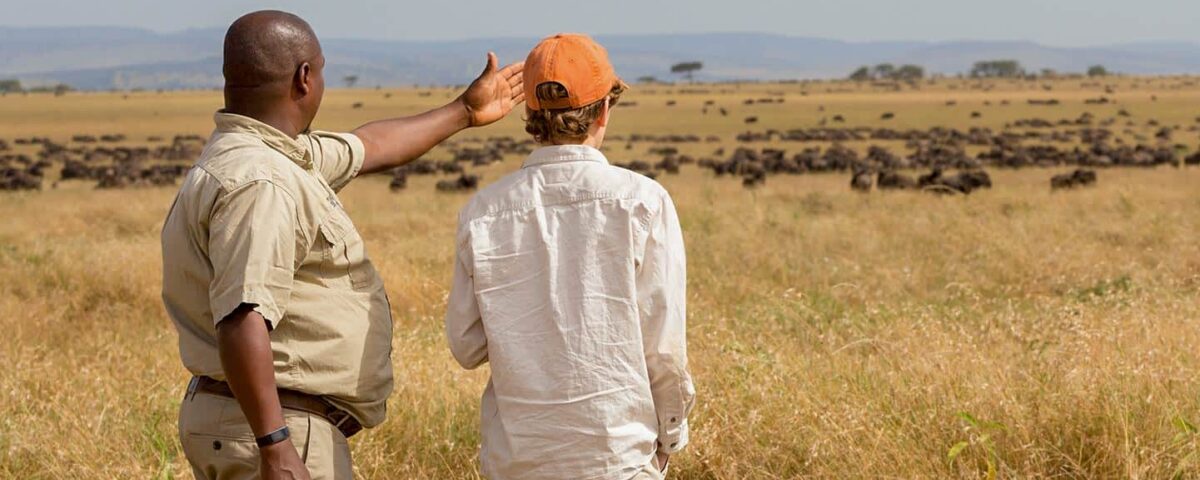Africa Wildlife Safaris