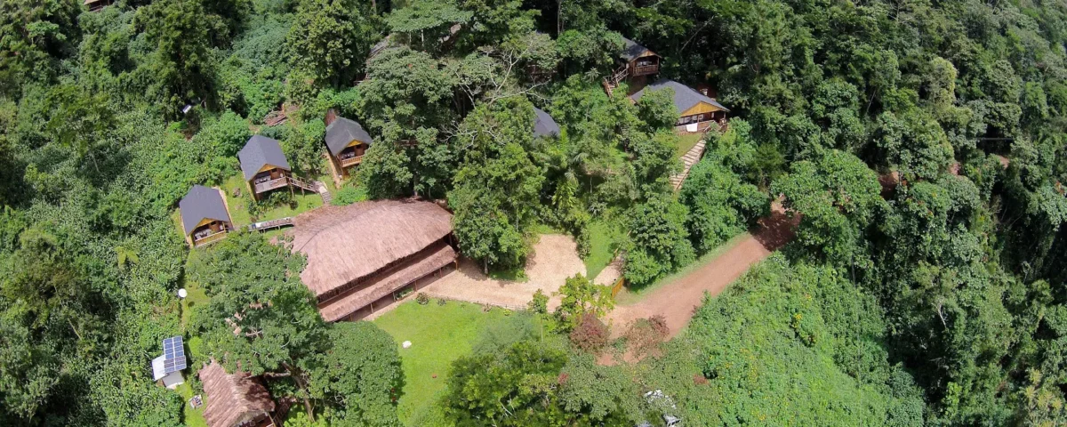 guide to staying healthy in the bush