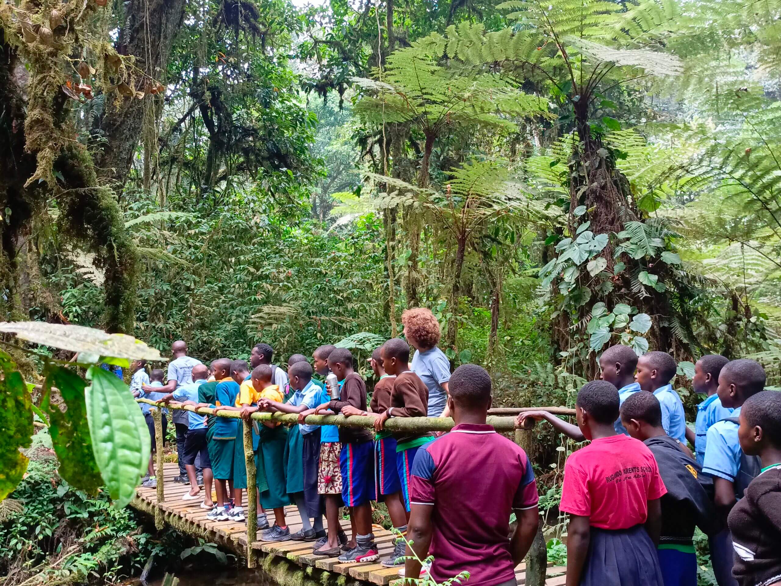 Global Safety in 2026