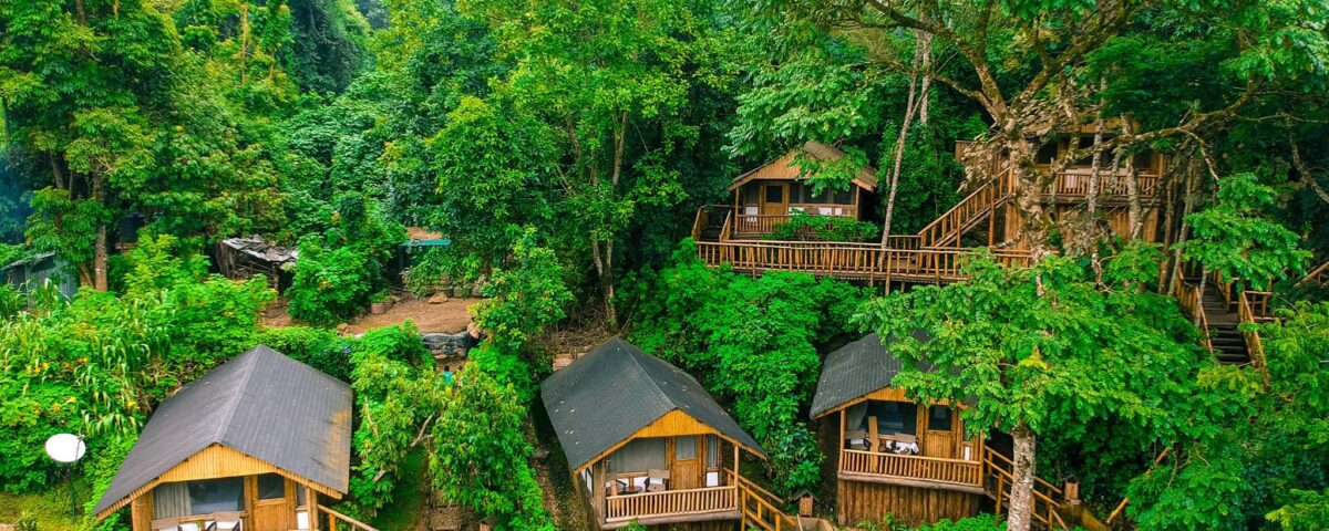 Why Location is Everything in Bwindi