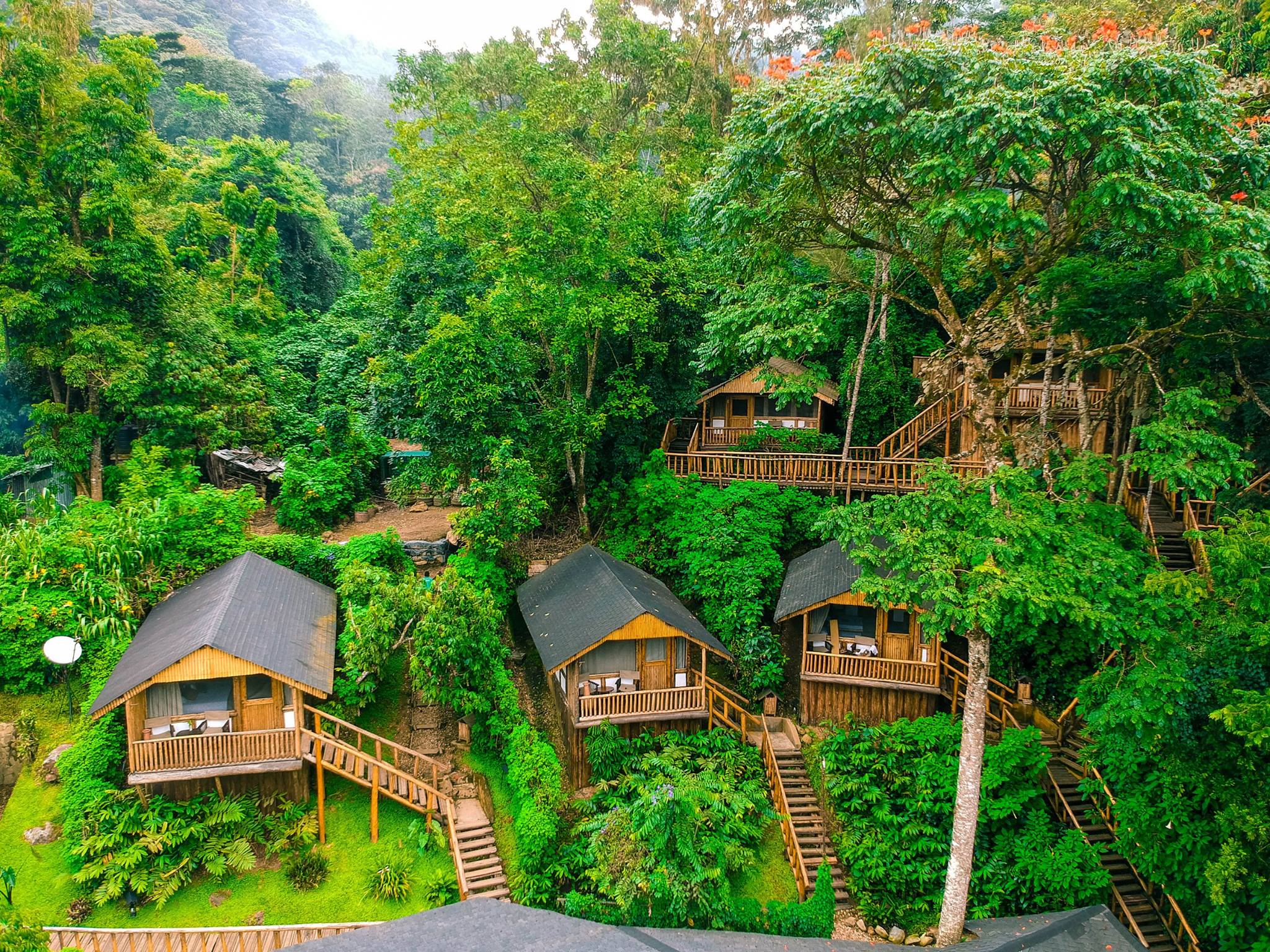 Luxury Meets the Wild: The New Eco-Lodge Era