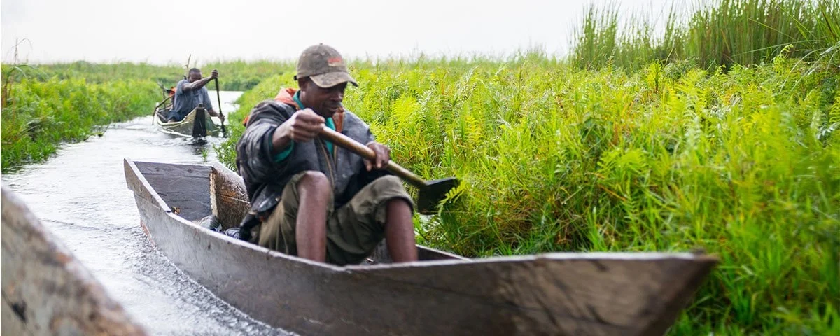 2026 shoebill birding trend