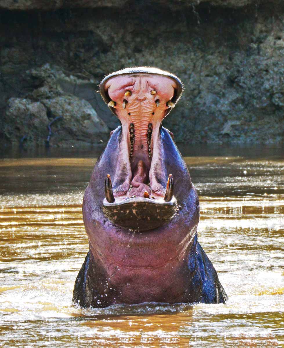 Katavi National Park