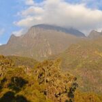 How Does the Great Rift Valley Differ from Gorilla Trekking?