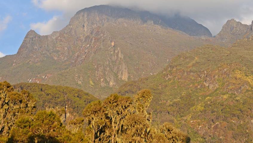 How Does the Great Rift Valley Differ from Gorilla Trekking?