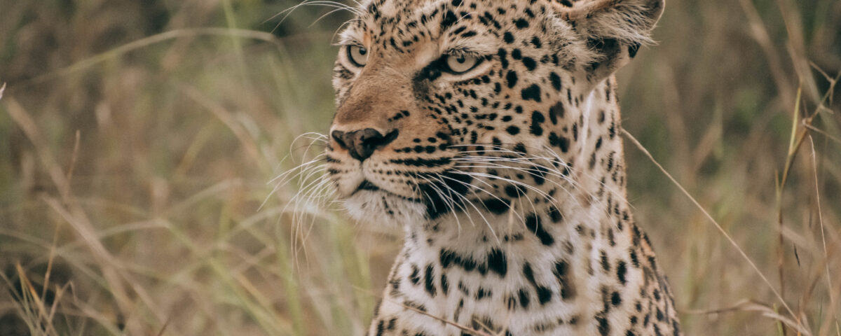 Best Time to Visit Tanzania