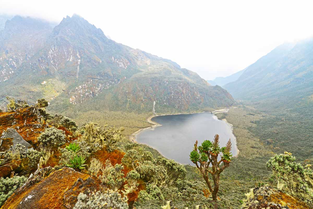 Rwenzori Mountains National Park