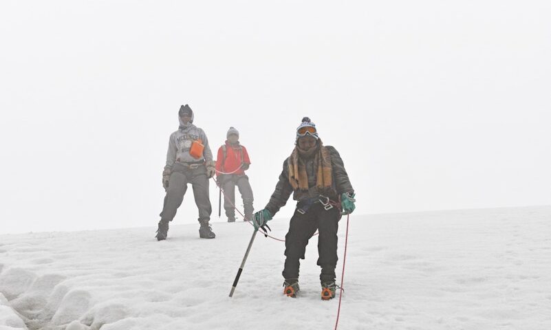 Safari Safety & Rules for Safaris