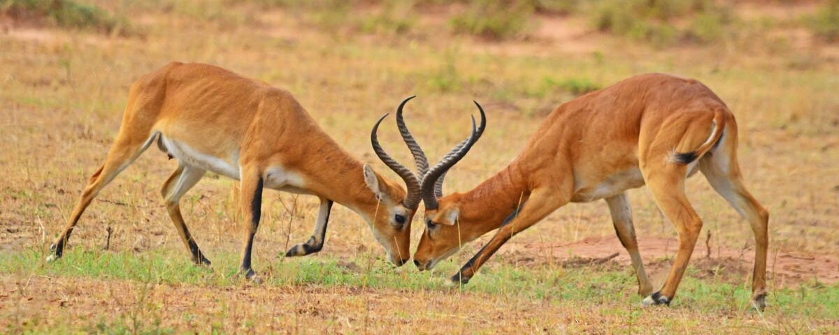 Global Safety in 2026