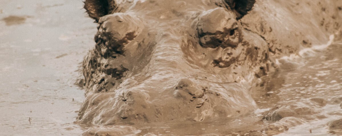 Akagera National Park