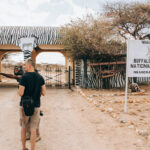 Wildlife Seasons in Kenya