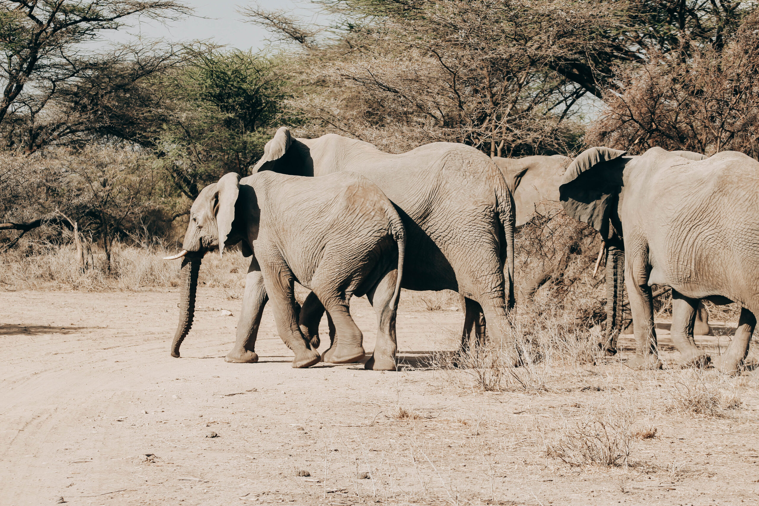 Maasai Mara National Park