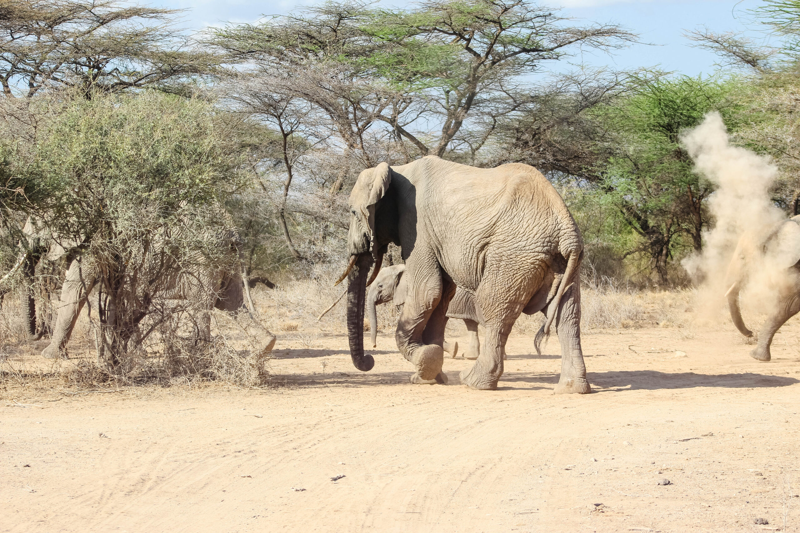 Serengeti and Maasai Mara travel times