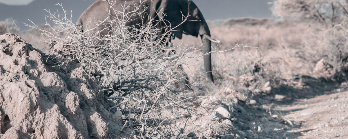 Serengeti National Park