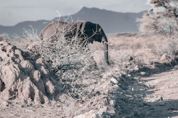 Serengeti National Park