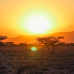 Is It Safe to Travel to East Africa